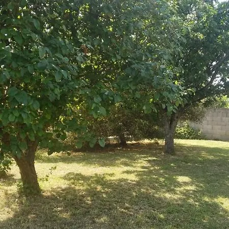 ホームステイ Zen A La Campagne マレンヌ