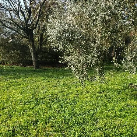 Zen A La Campagne * マレンヌ